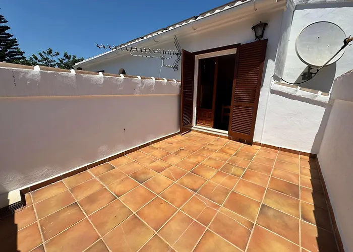 Algarrobo El Tosalet